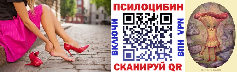 Псилоцибиновые грибы Psilocybine cubensis  darknet телеграм  Устюжна 